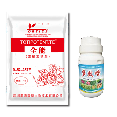 磷酸二氢钾+多效唑，不知道吃大亏
