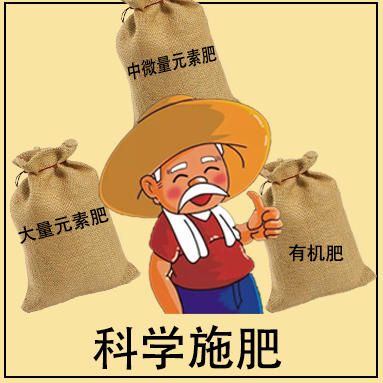 科学施肥：丰收的关键！必看