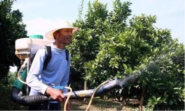 如何进行有效的根外施肥