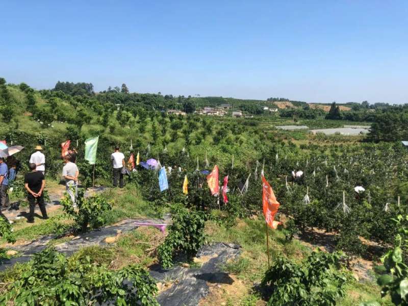 奥德雷斯与您携手共进|明日见防裂推广技术交流会