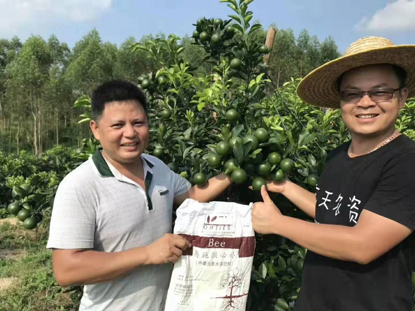 不是施肥就能吸收，影响肥料吸收的因素，您知多少？