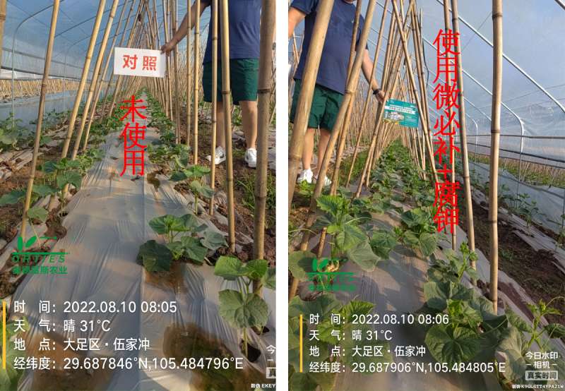 效果好才是真的好！奥德雷斯农业坚持品质取胜！