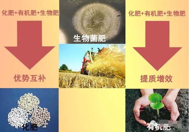 三种肥料搭配使用，提质增产最厉害！ 