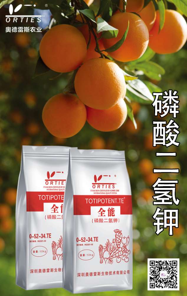 果树冲施磷酸二氢钾，好处多到你想不到！