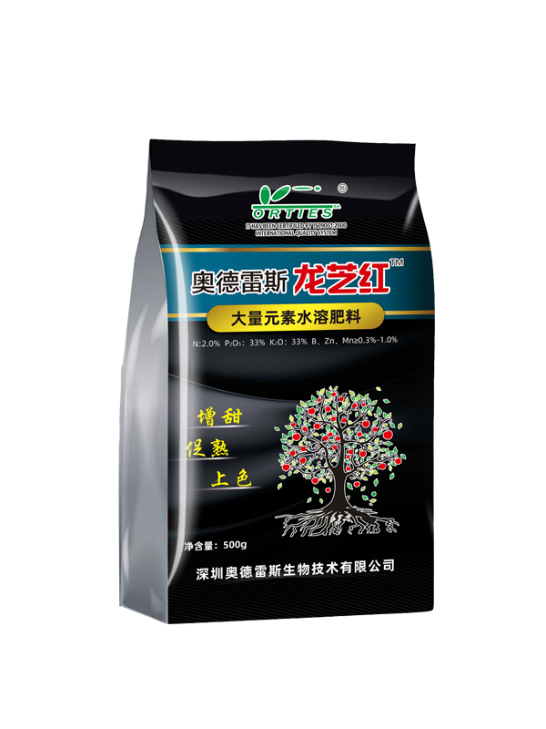 500g奥德雷斯龙芝红