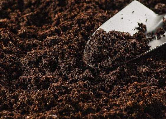 微生物菌肥的作用及用法