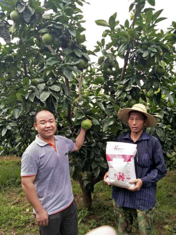 柚子用户反馈