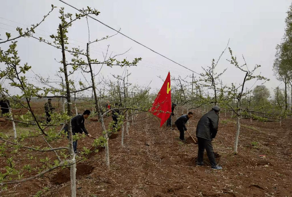 这样施肥=浪费，请尽量避开