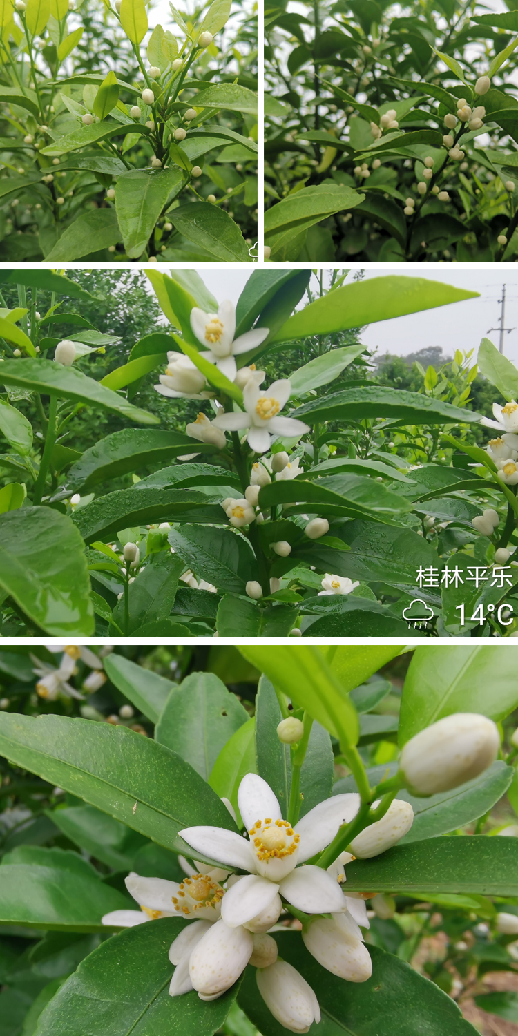 春暖花开1.jpg