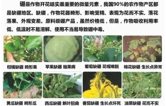 QQ截图20200407144029.jpg