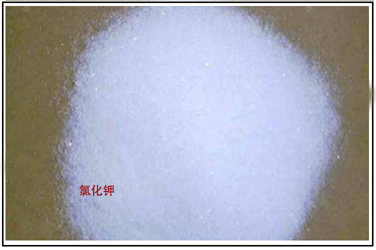 氯化钾.jpg