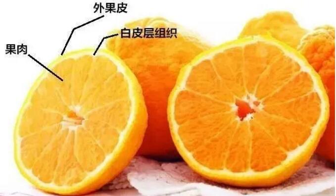 QQ截图20200923172529.jpg