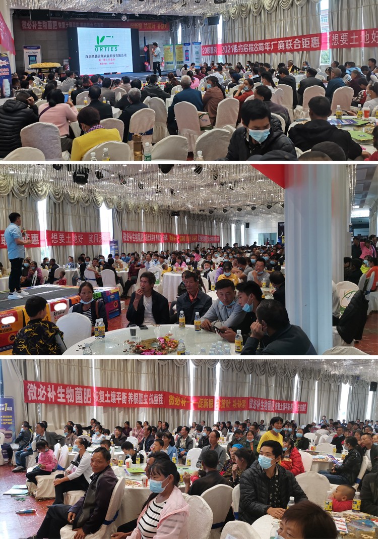 会议11.jpg