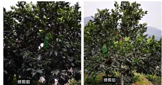QQ截图20201222111720.jpg