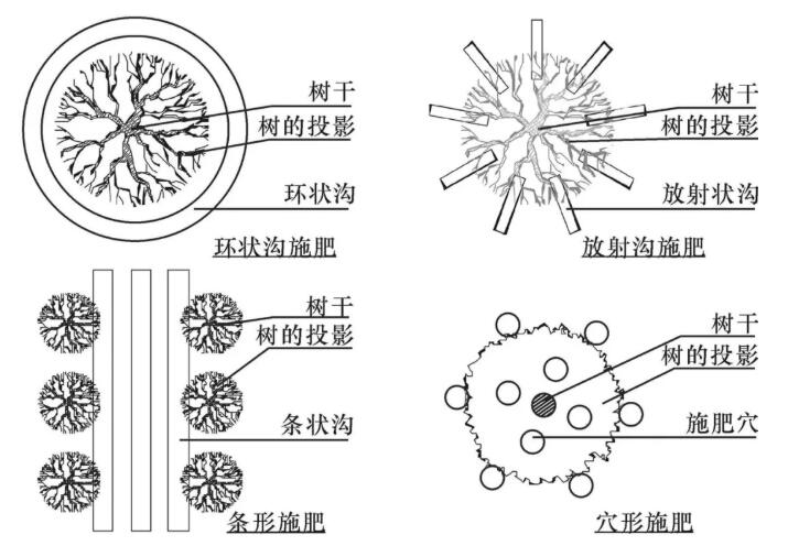 QQ截图20201224153345.jpg