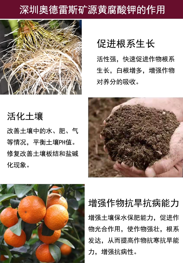 腐钾222.jpg