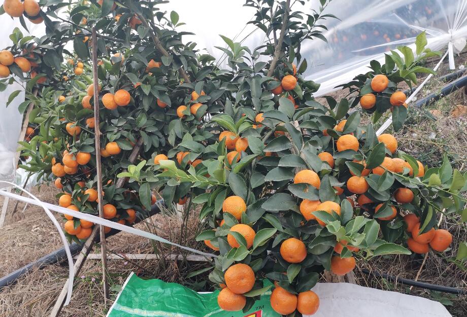 QQ截图20210122170928.jpg