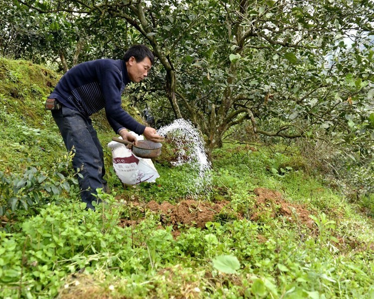 月子2.jpg