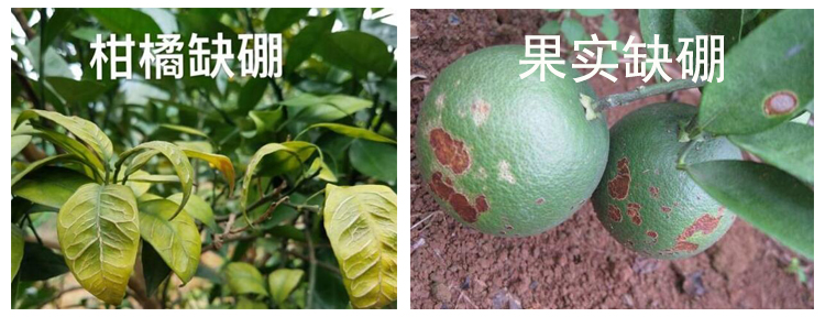 未标题-1.jpg