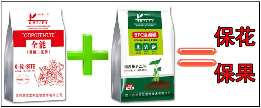 磷酸二氢钾+硼.jpg