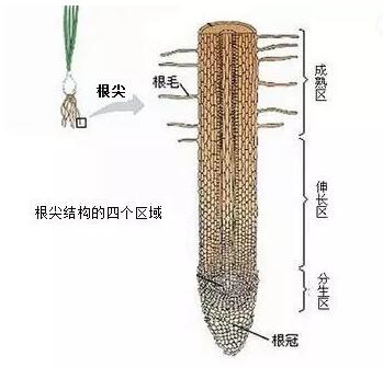 QQ截图20210319152224.jpg
