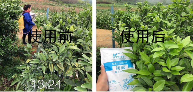 使用镁.jpg