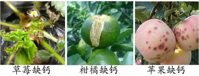 QQ截图20210428145121.jpg