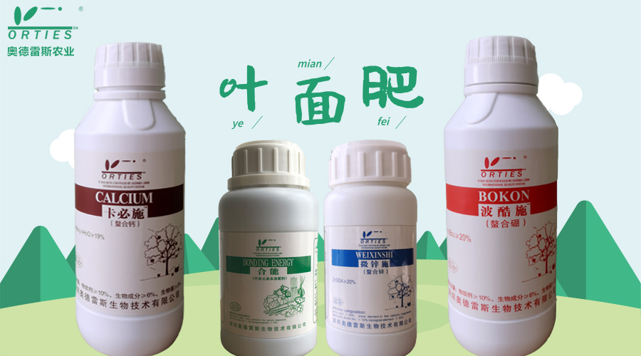 叶面.jpg