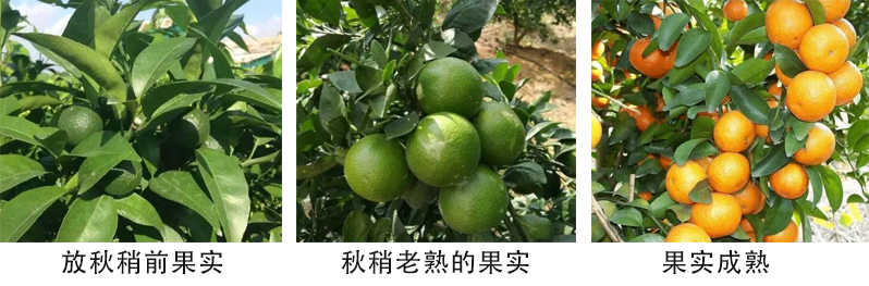 未标题-1.jpg