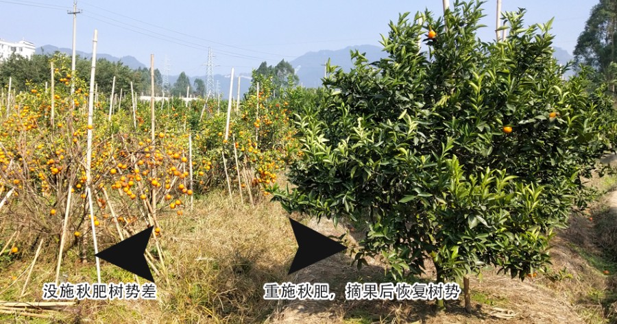 未标题-123.jpg