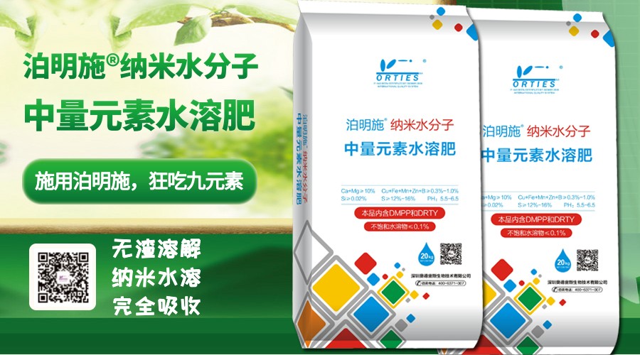 纳米水分子横.jpg