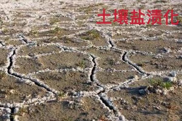 微信图片_20211119110140.jpg