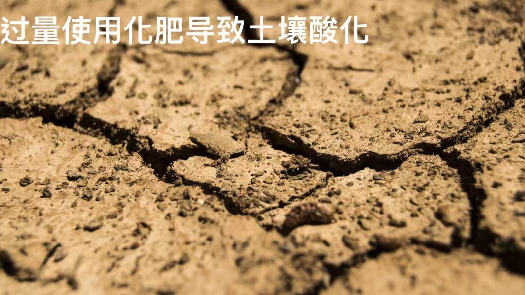 微信图片_20211119110146.jpg