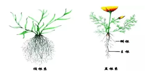 截图20211215141537.png