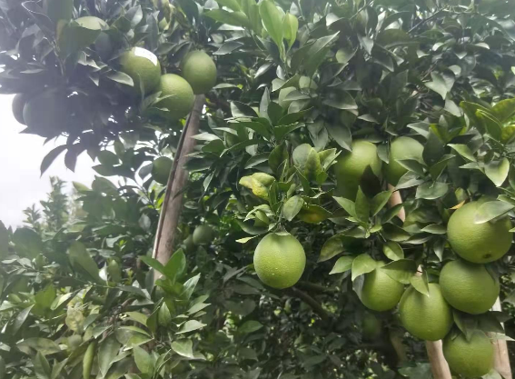 截图20211227141239.png