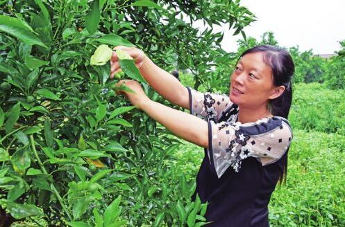 QQ截图20220606152227.jpg