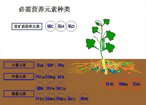 QQ截图20220609101557.jpg
