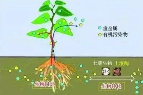 QQ截图20220620172043.jpg