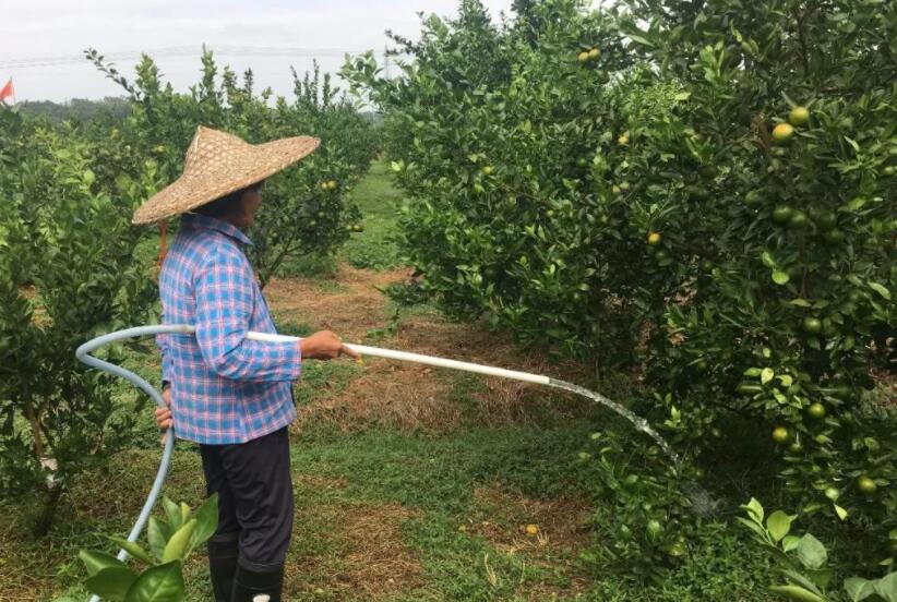 淋水.jpg