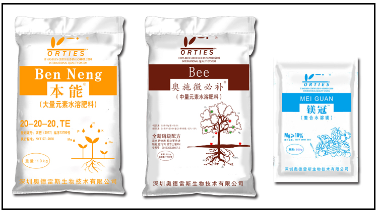柑橘黄化.jpg