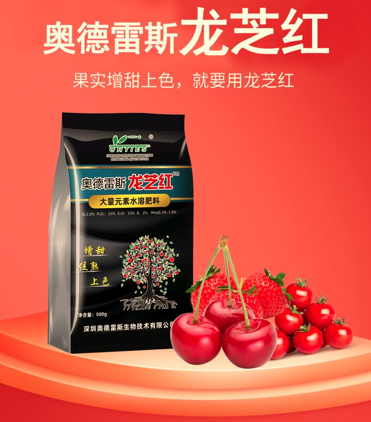 龙芝红.jpg
