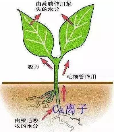 QQ截图20220802165734.jpg