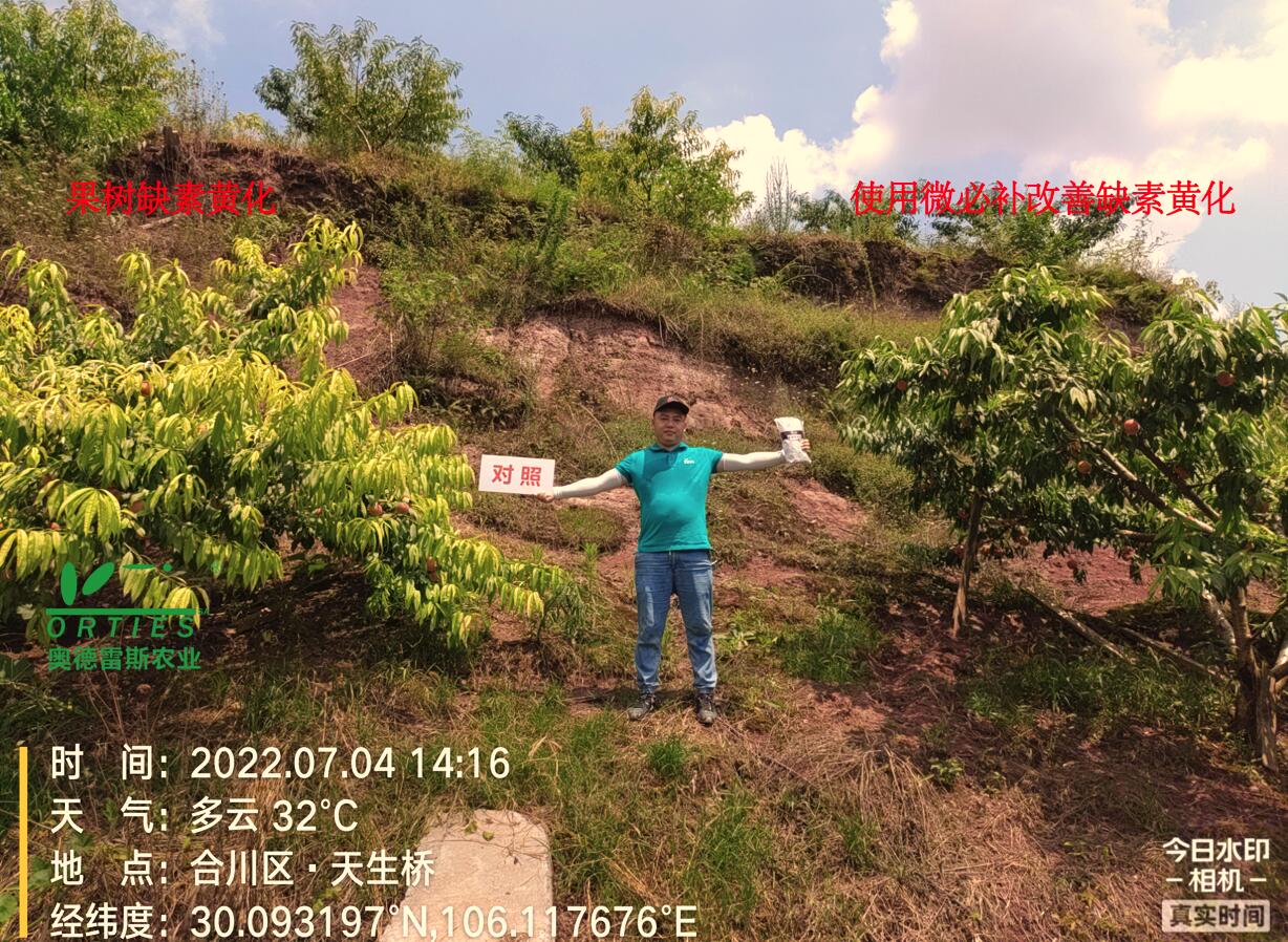 QQ截图20220815104016.jpg