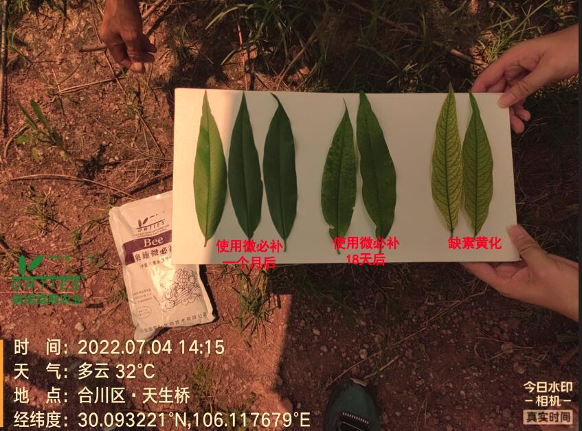 QQ截图20220815104030.jpg