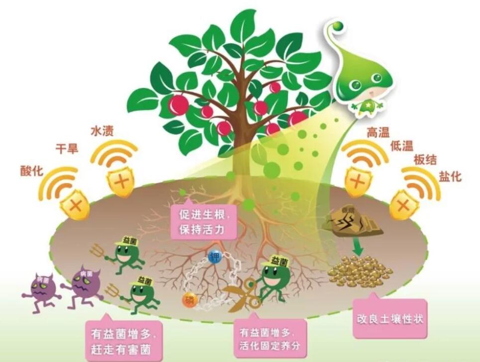 QQ截图20220905172936.jpg