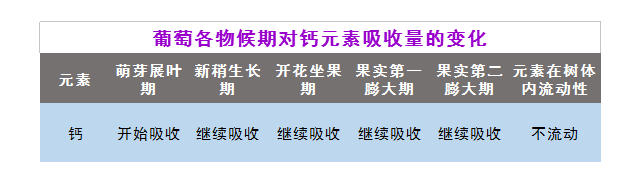葡萄吸收钙元素.png