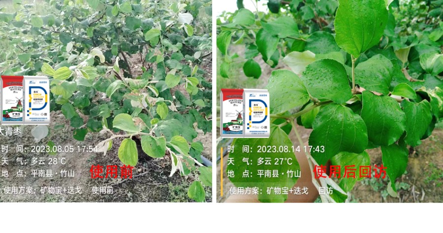 使用对比33.jpg