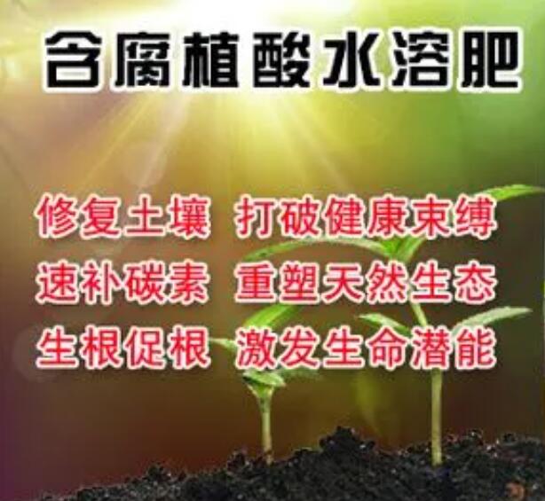 QQ截图20231201153637.jpg