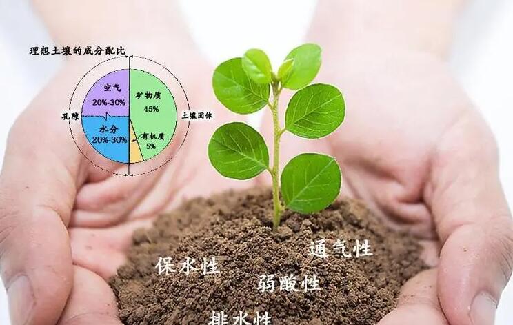 QQ截图20231222163014.jpg