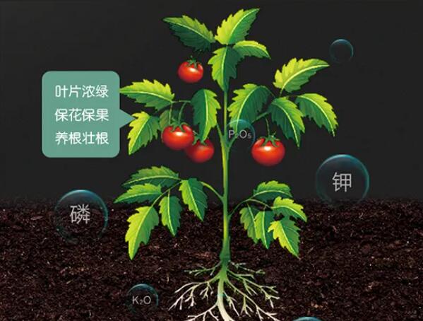 QQ截图20240419104716.jpg